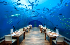 Ithaa Undersea Restaurant, Conrad Maldives Rangali Island. TravelPlusStyle.com