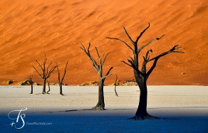 Sossusvlei, Namibia. TravelPlusStyle.com