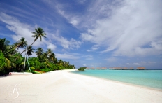 Maalifushi by Como, Maldives. © TravelPlusStyle.com