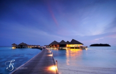 Maalifushi by Como, Maldives. © TravelPlusStyle.com