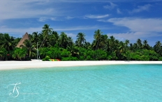 Maalifushi by Como, Maldives. © TravelPlusStyle.com