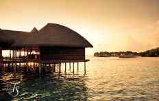 Maalifushi by Como, Maldives. © TravelPlusStyle.com