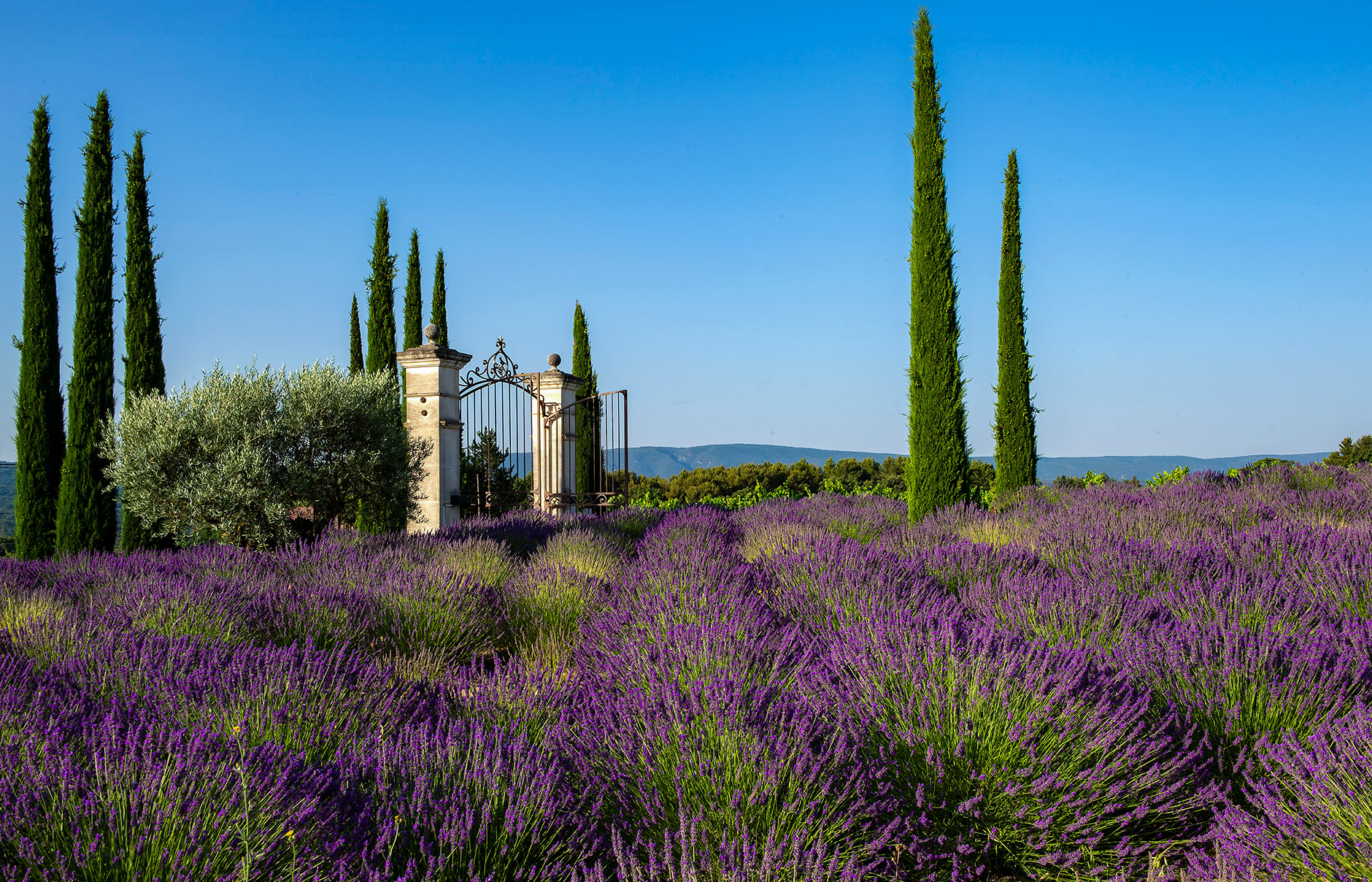 Coquillade Provence Resort & Spa, Gargas, Provence, France. Photo © La Coquillade